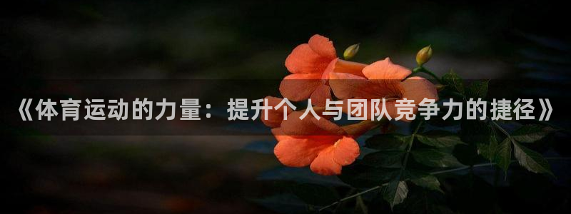 MK体育官网下载招商电话地址查询:《体育运动的力量:提升个人