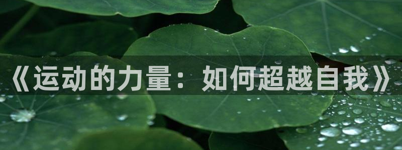 MK体育官方正版app娱乐是那个系列的台子:《运动的力量:如