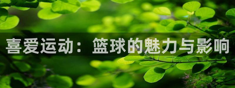 MK体育官方正版app集团简介:喜爱运动:篮球的魅力与影响